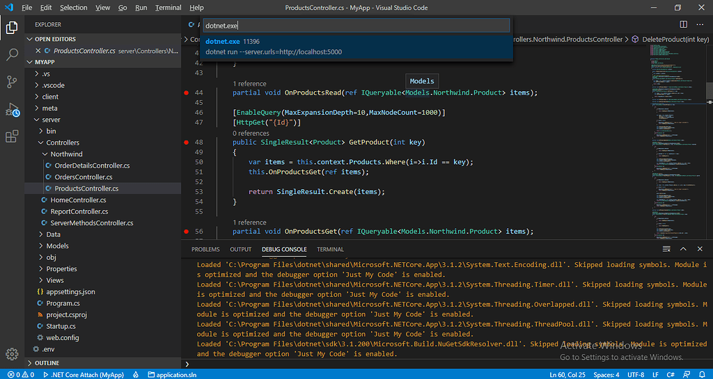 Need help to debug in VS/VS Code - Angular - Radzen