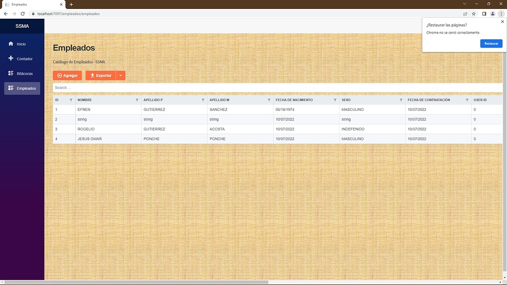 I dont see the horizontal scroll bar when data grid has various columns