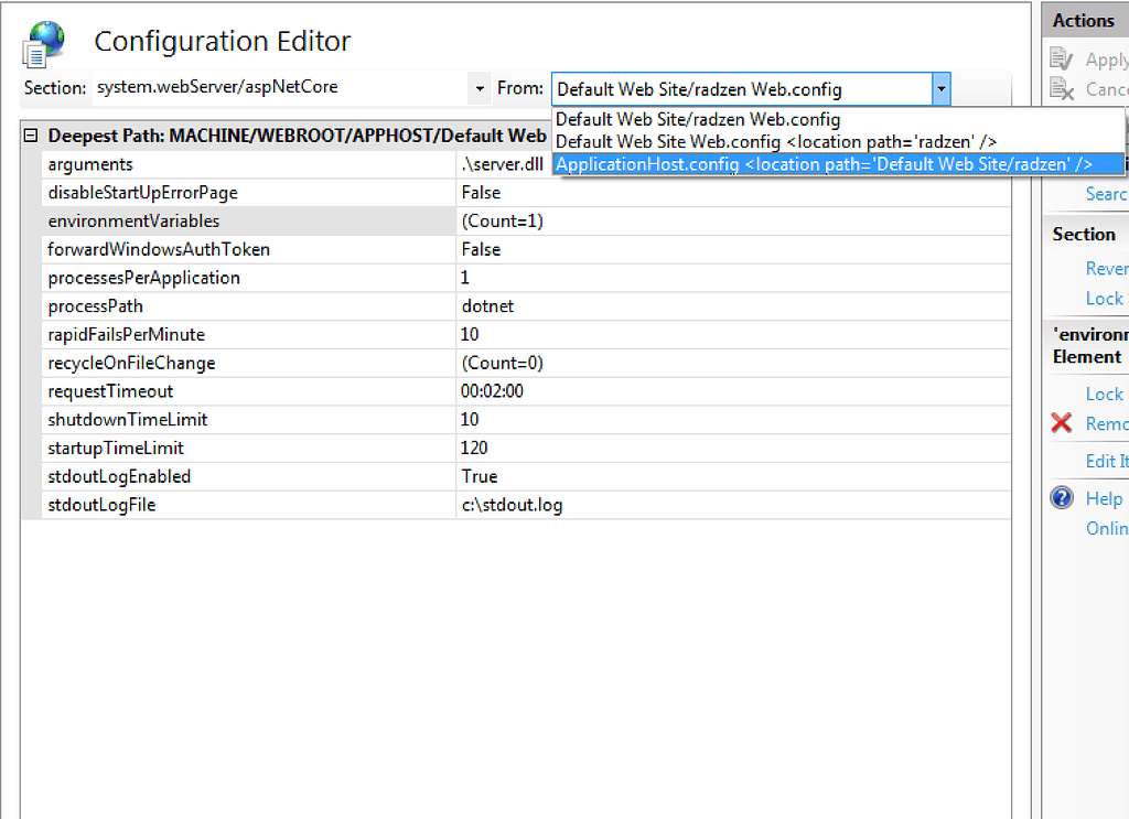 II Server Environment Settings For Deploy - Angular - Radzen