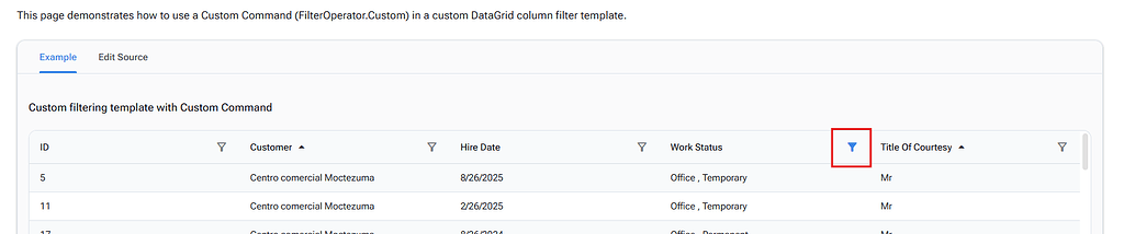 Custom Filters incorrect indicator - Radzen.Blazor Components - Radzen