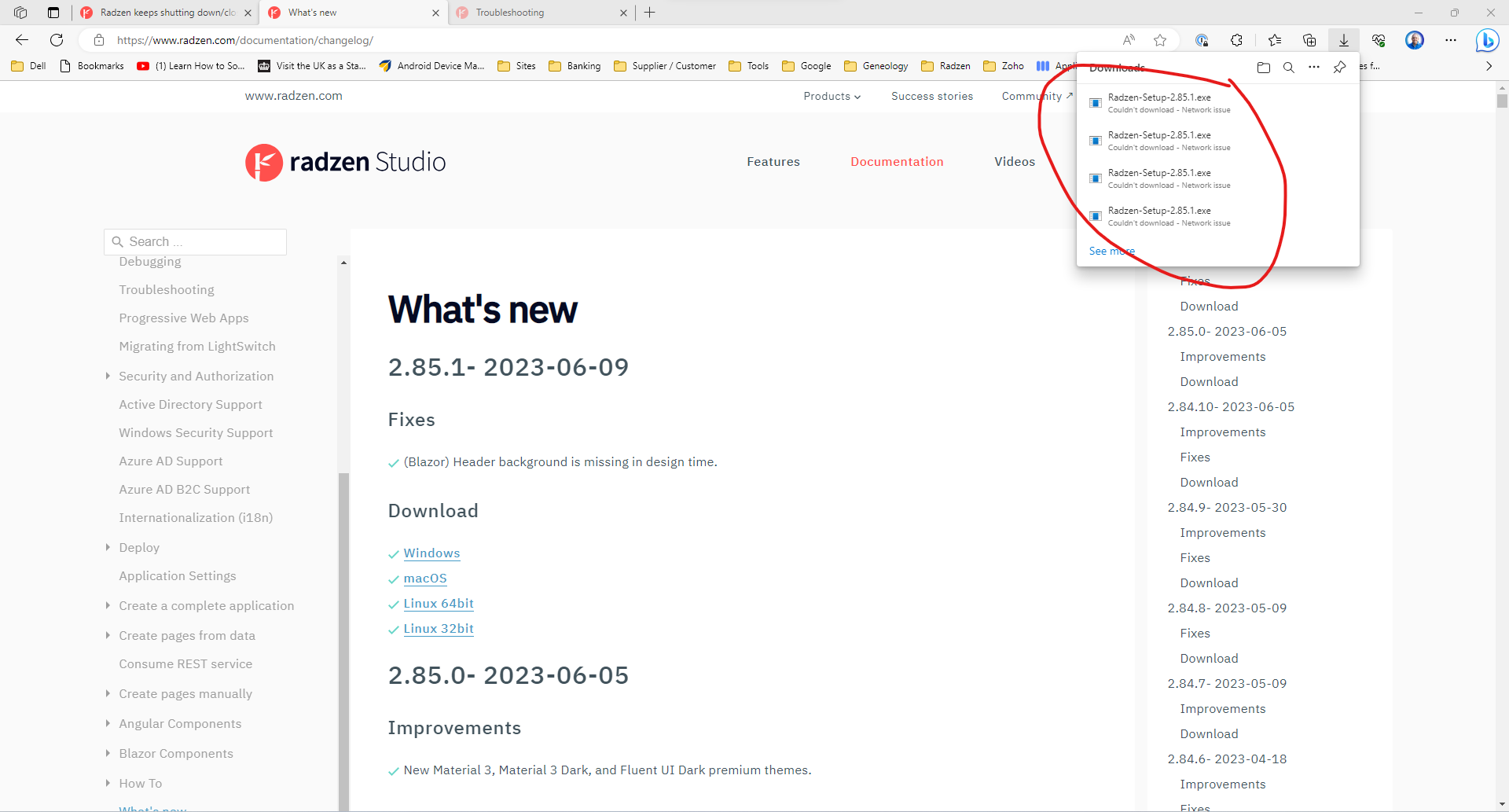 Radzen keeps shutting down/closing - Blazor Server - Radzen