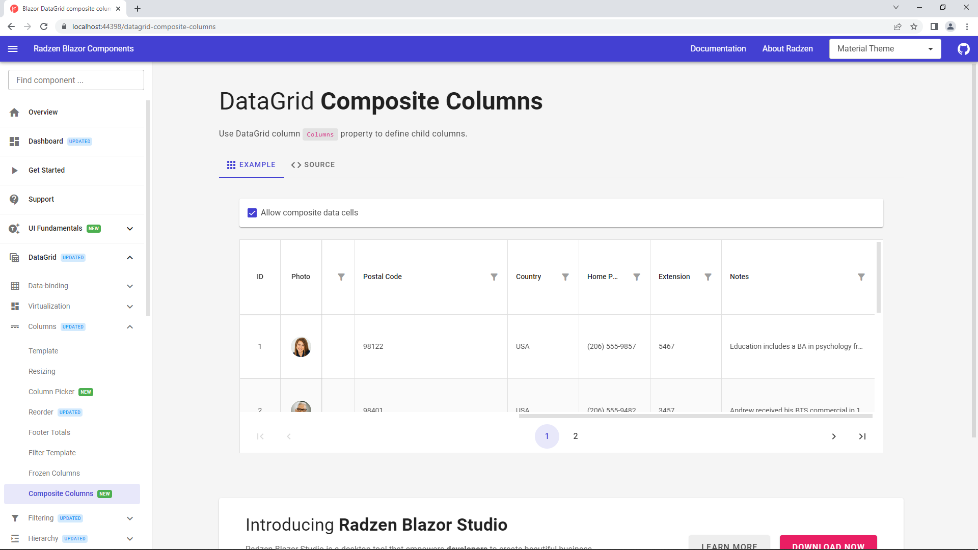Composite Cells Bug - Radzen.Blazor Components - Radzen