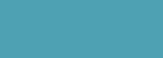 Problems with theme color customization - Radzen.Blazor Components - Radzen