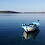 Andrew_Wang