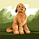 Howie_Ng